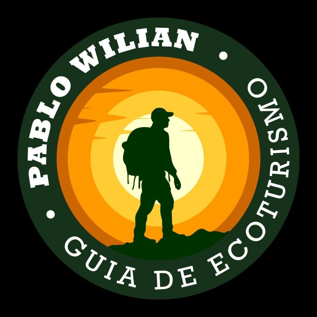 TESTE 98564